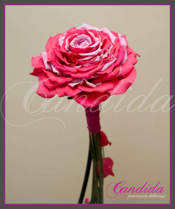 Wiązanka ślubna, kameliowa z róży, rozamelia- typ arm bouquet